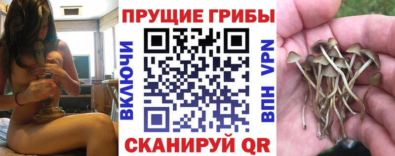 Галлюциногенные грибы GOLDEN TEACHER Каменногорск