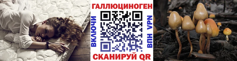 Псилоцибиновые грибы ЛСД  kraken ссылки  маркетплейс состав  Каменногорск 